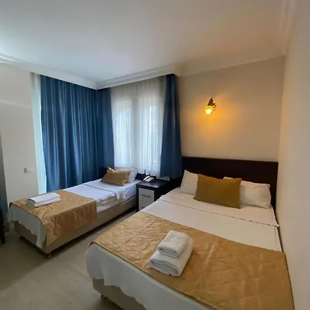 Theluna Otel 3*